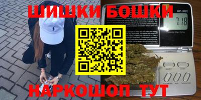 индика Кандалакша