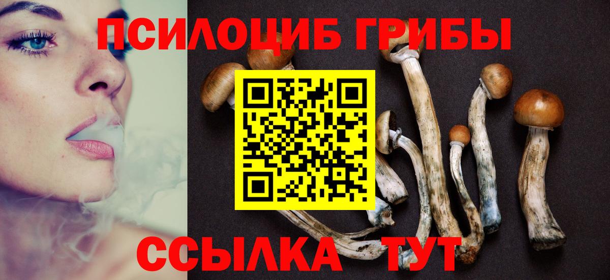 Псилоцибиновые грибы прущие грибы  Галлюциногенные грибы Cubensis  Людиново  Вход с VPN 
